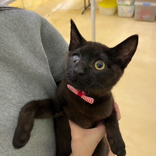 狙った膝は逃がさない！神テクニック持ちのボクちゃん