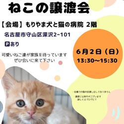 ねこの譲渡会 inもりやま犬と猫の病院