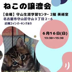 ねこの譲渡会 in守山生涯学習センター
