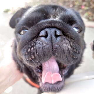 愛すべきキャラ【波平さん】