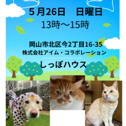 アイムの家しっぽハウス保護犬保護猫譲渡会