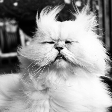 大好きな庭散策(花粉症くしゃみ寸前)