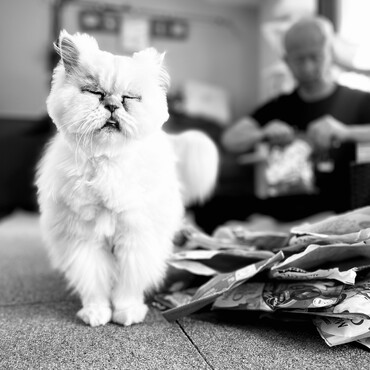 おやつの整理中