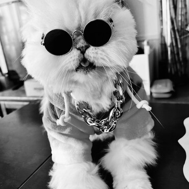 たまにはパリピもありじゃんね(笑)