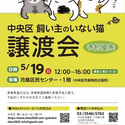 東京都中央区飼い主のいない猫譲渡会