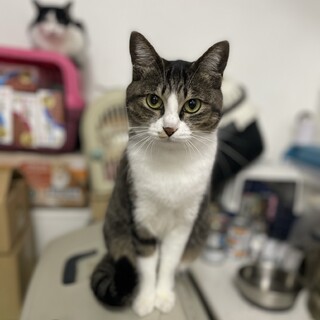 アーモンドアイ がチャームポイントのマーガレット