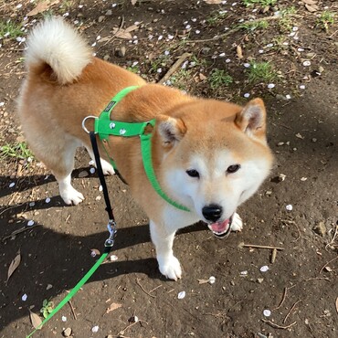 の写真