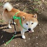 の写真