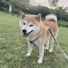 の写真
