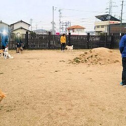 総社市ＡＷＡしつけ教室　＜雨天決行＞ サムネイル2