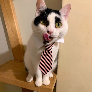 愛すべき　ふくふく福丸くん♡