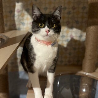 ずーっとそばにいてね♡はなみちゃん