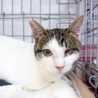 ෆ⃛ハンデも個性ෆ⃛ごぼてんくん