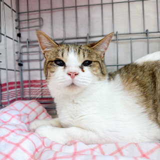 ෆ⃛ほっこり女子ෆ⃛ぷぷちゃん