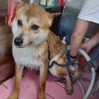 パッチリおめめの花音ちゃん