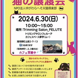 第12回猫の譲渡会 at 湯河原町