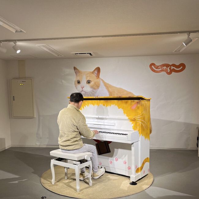 dolphin8800のカバー写真