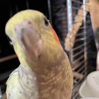 沢山のご応募ありがとうございます　一時中止