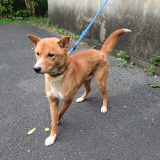 ありがとうございました！