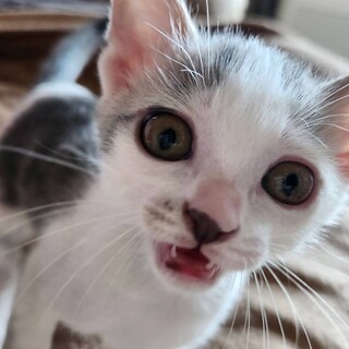 3月20日産まれ 女の子 