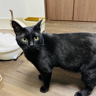 めちゃくちゃ良い性格の8歳です