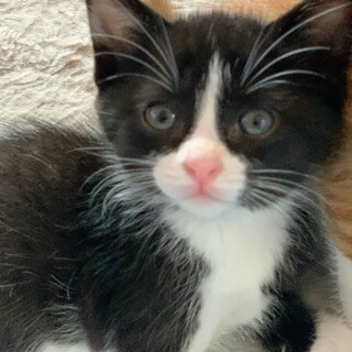 【5/26東銀座】のりちゃん★1ヵ月半♪