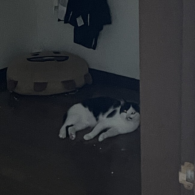 uzunaのカバー写真