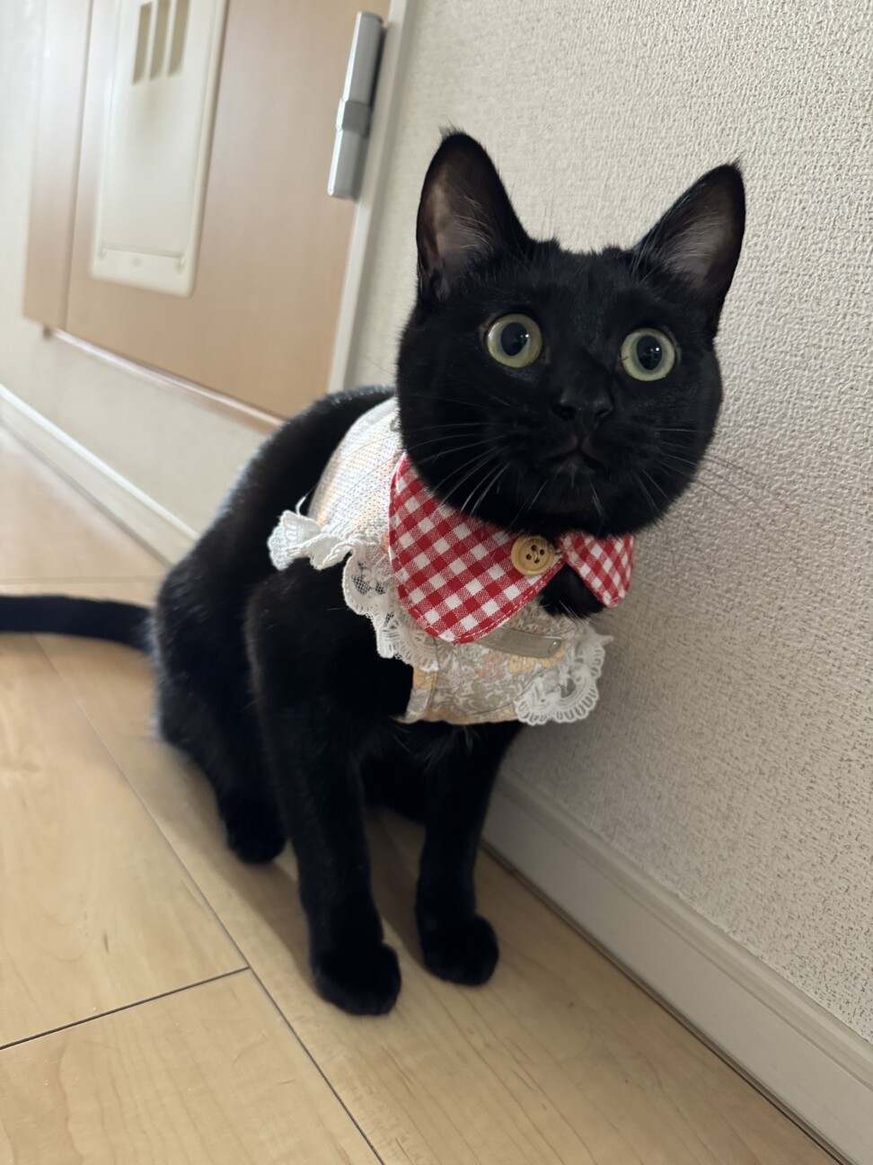 こしあん