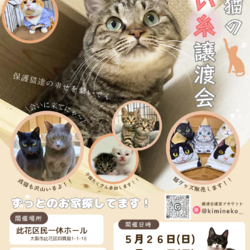 君と猫の赤い糸譲渡会