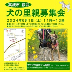 「犬の合宿所in高槻」の犬の里親募集会