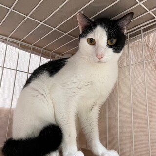 光秀！歴史上の光秀とは真逆のまっすぐ素直な性格