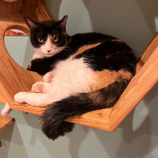 かわいい声であなたをメロメロにさせちゃう　江ちゃん