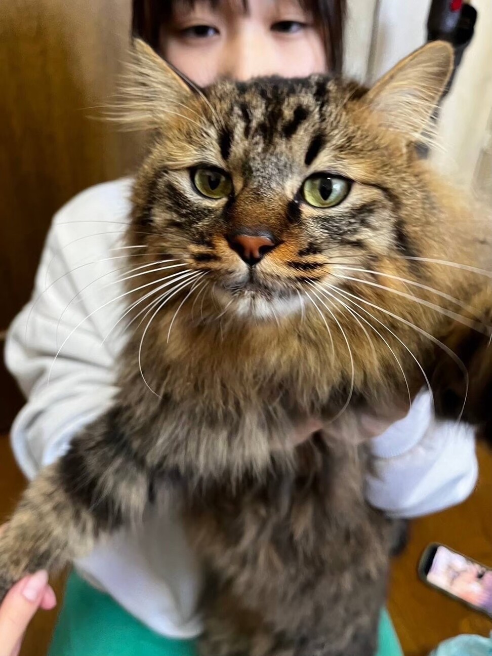 【被災地より】遊んで撫でて！甘えん坊デールくん サムネイル7