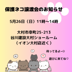 保護ネコ譲渡会