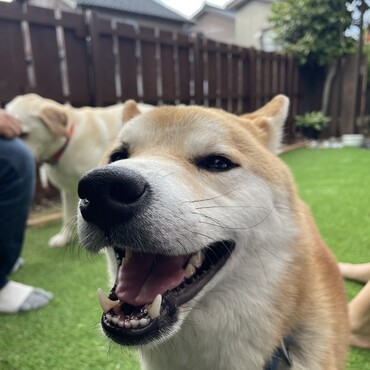 の写真