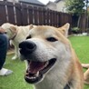 の写真