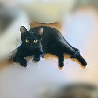 あたち頑張るもん！本当は優しい女の子【大阪市】