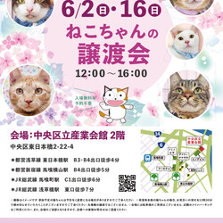 ねこざんまい譲渡会@東日本橋