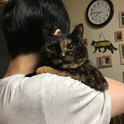 「おうち記念日」サムネイル3