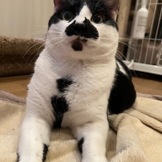 推定3歳・幸せに王手！クセになるルックス♥藤井くん