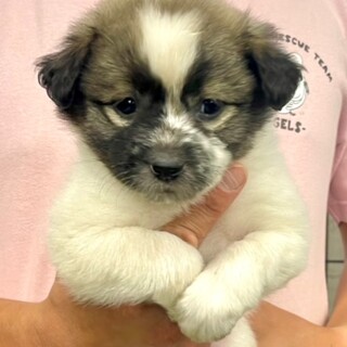 24-W106　　大人しい女の子！！