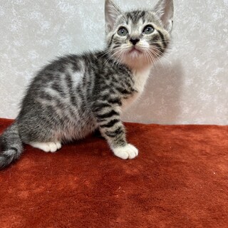 兄弟で幸せ探してここまで来ました❤兄の左吉です