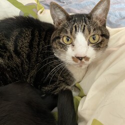 「トムさん、少し元気に(^-^)/」サムネイル1