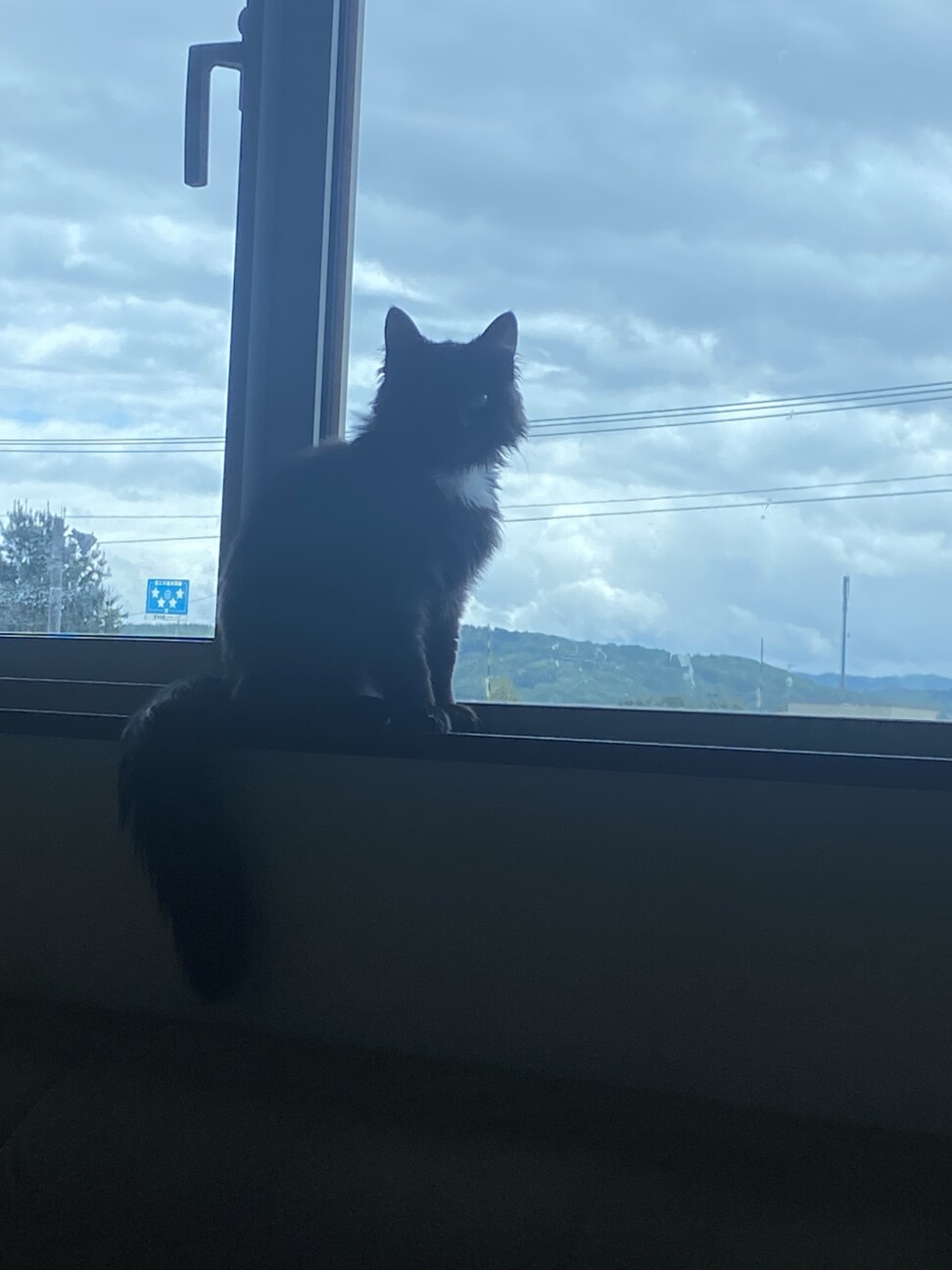 きょろ
