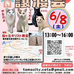 ◇保護猫の譲渡会◇in東京都多摩市聖蹟桜ヶ丘◇