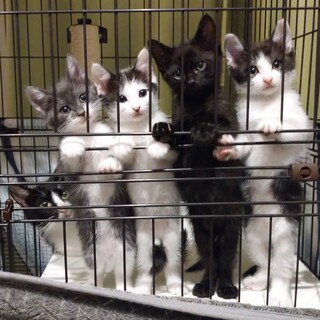 【7/15芝浦】4/8生の可愛い子供たち