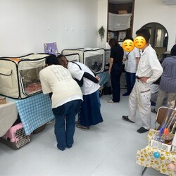 保護猫のお見合い会 サムネイル3