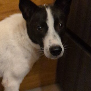 甘えん坊お転婆♡モテモテ罪深き女子☆アンジー