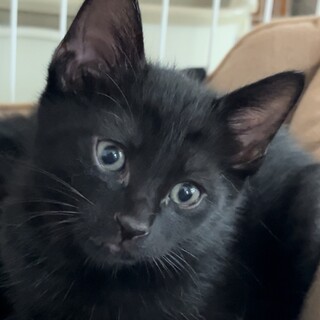 甘えん坊な男の子❤️エレ