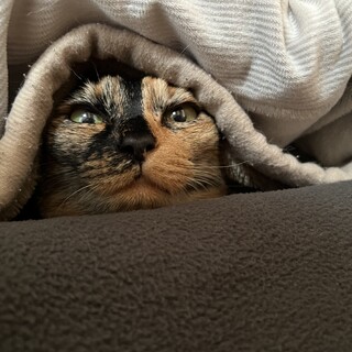 人と一緒が好き♡さびちゃん